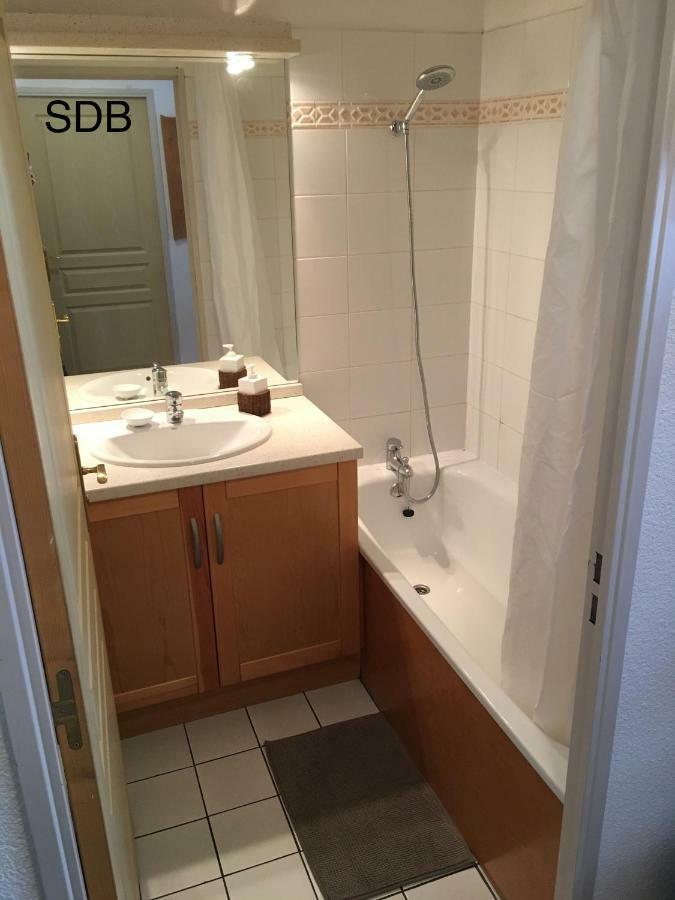Appartement Les Pics D'Aran Bagnères-de-Luchon エクステリア 写真